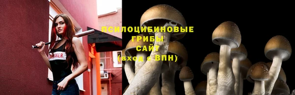 кокаин перу Алзамай