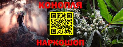 шишки Апшеронск