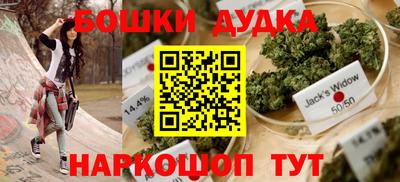 шишки Апшеронск