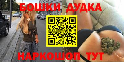 шишки Апшеронск